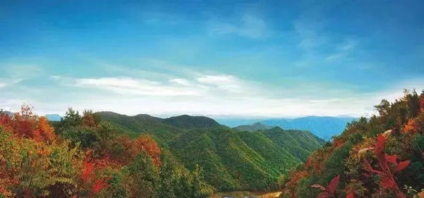 宜昌西塞国森林公园笔峰洞片区获得国家林草局批复，将新建玻璃栈桥
