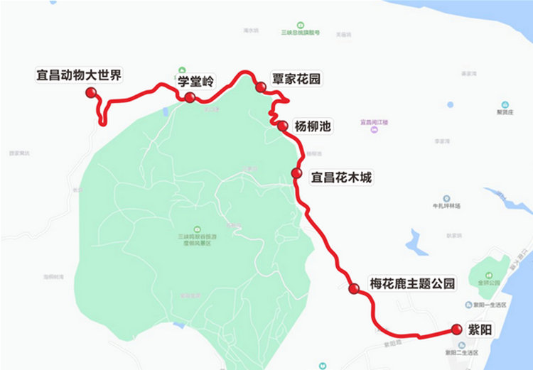 宜昌525路公交车月底开通市民到宜昌动物大世界游玩更方便