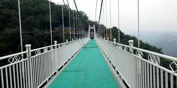 九凤谷玻璃桥 (1)