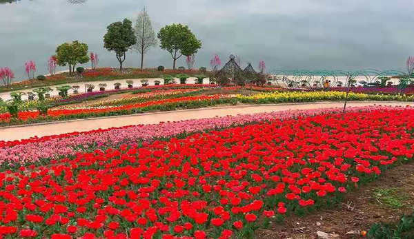 三峡龙泉湖，宜昌乡村旅游赏花休闲好地方